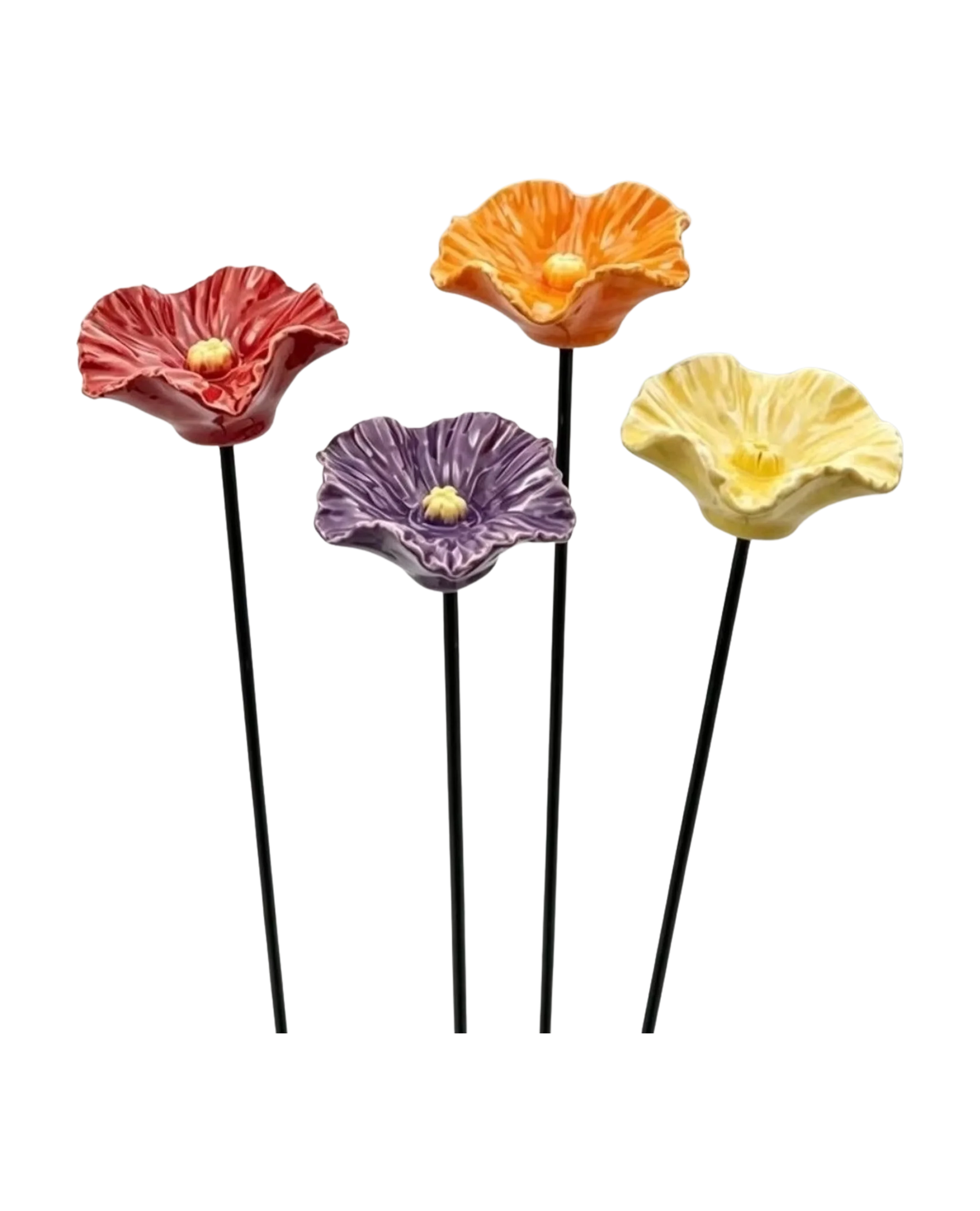 Aethoma Bee Blossom Set